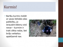 Maijs_gribu_visu_zinat_(2)_page_0011_thumb_small.jpg