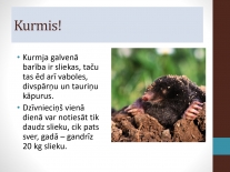 Maijs_gribu_visu_zinat_(2)_page_0012_thumb_small.jpg