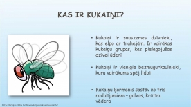 kukaini___istais_page_0002_thumb_small.jpg