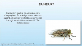 kukaini___istais_page_0005_thumb_small.jpg
